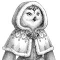 Snowy Owl: Plumage Made of Snow 