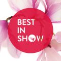 Best in Show: Magnolia Perfumes (2021)