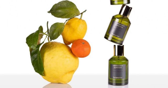 Bergamotto Laboratorio Olfattivo perfume - a fragrance for women