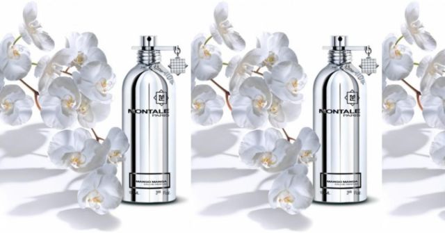 20. narozeniny ELNINO