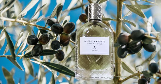Parco Palladiano X: Olivo Bottega Veneta perfume - a fragrance for