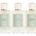 Three New Flowers in the Atelier des Fleurs line by Chloé