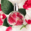 In Defense of Perfume