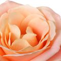 Rose Fragrances for a Rose-Phobic Valentine
