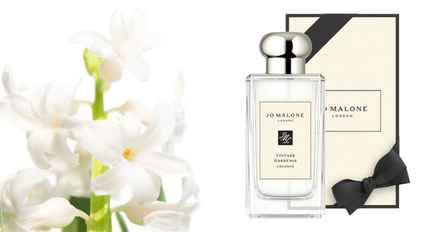 Vintage Gardenia Jo Malone London perfume - a fragrance for women 2004