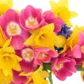 SPRING FLOWERS: Narcissus, Hyacinth & Tulip
