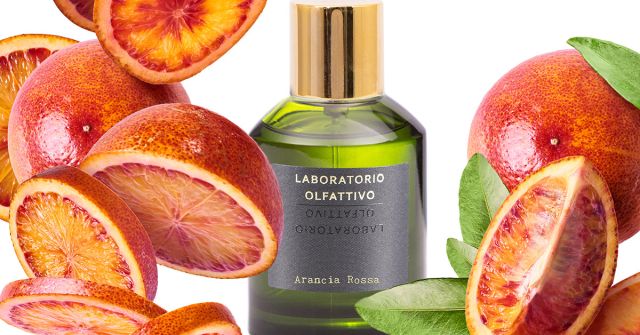 Bergamotto Laboratorio Olfattivo perfume - a fragrance for women