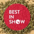 Best in Show: Anise Scents (2022)