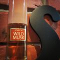 The Story of Wild Musk: Old-School Fantasies by Coty