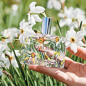 Fragonard Flower of the Year: Narcisse ~ New Fragrances