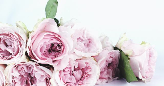 Une Rose Obvious perfume - a fragrance for women and men 2020