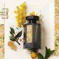L'Artisan Parfumeur Highlights Mimosa With Soleil de Provence