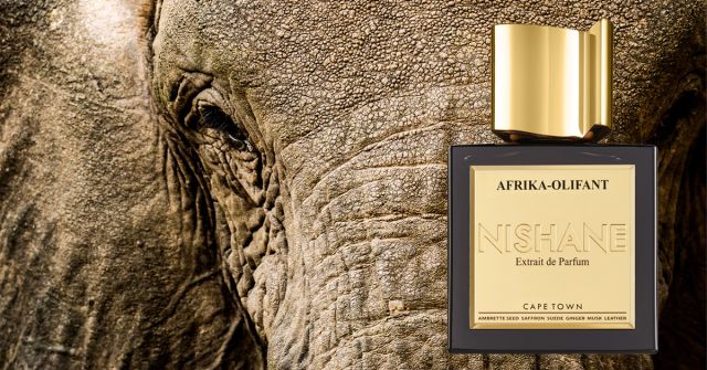Oudh Infini Parfums Dusita perfume - a fragrance for women and men