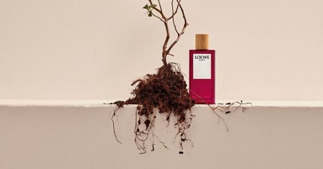 Earth Loewe perfume - a fragrance for women and men 2022