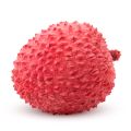 Lychee: In Life and Perfume