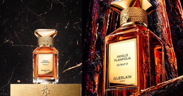 Tonka Sarrapia Extrait 75 Guerlain perfume - a fragrance for women