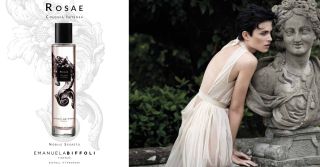 Noble Secret Collection: An Invitation to Renaissance Reveries in Spring