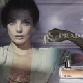 Prada Amber: 20 Years of a Classic