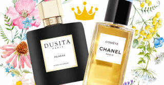 SUMMER 2024 PERFUME HIGHLIGHTS: Comète Chanel & Pelagos Dusita