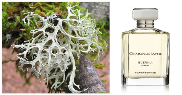 Ormonde Man Ormonde Jayne cologne - a fragrance for men 2004