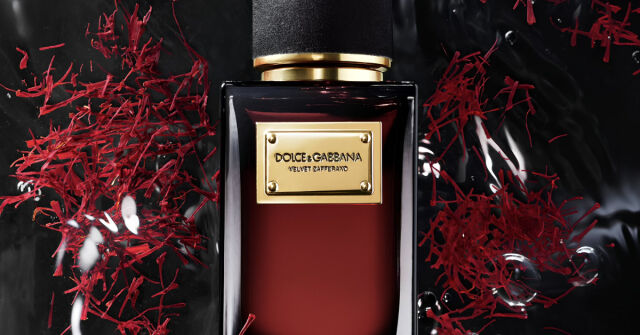 Velvet Zafferano Dolce&Gabbana perfume - a new fragrance for women