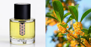 Les Indémodables Cuir De Chine: A Very Fleshy, Humid, and Mushy Osmanthus Fragrance