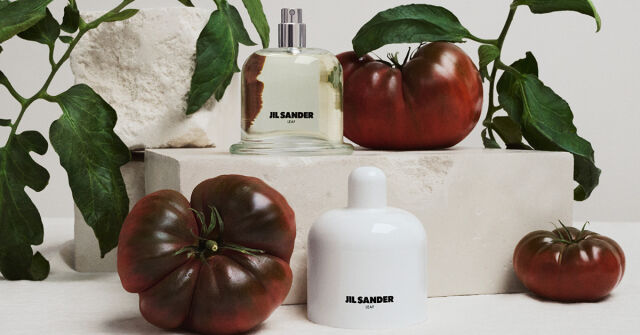 Black Tea Jil Sander perfume - a new fragrance for women and men 2025