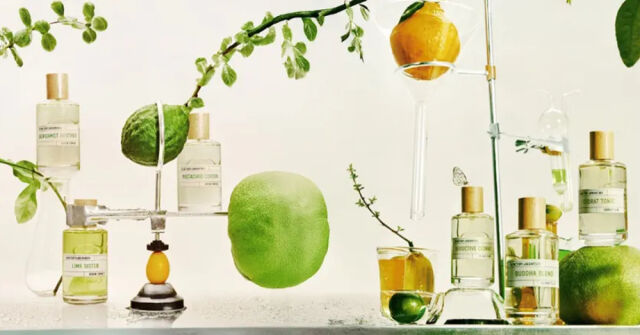 Lime Sister Les Liquides Imaginaires perfume - a new fragrance for