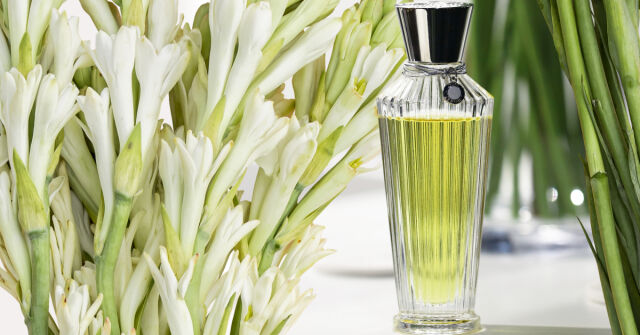 Trayee Neela Vermeire Creations perfume - a fragrance for women