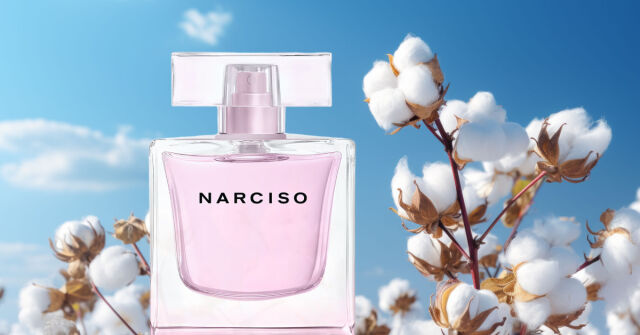 Narciso Narciso Rodriguez perfume - a fragrance for women 2014