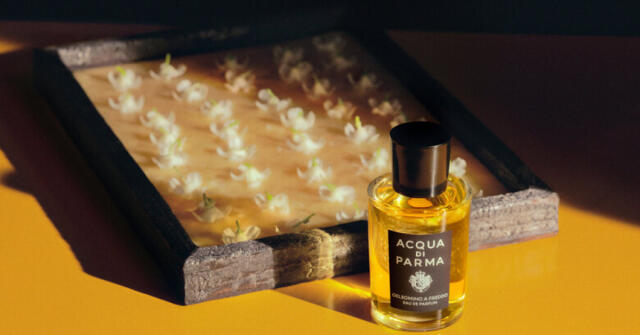 香水(ユニセックス) ACQUA DI PARMA Gelsomino a Freddo Gelsomino A Freddo Eau De Parfum - Signatures Of The Sun | Acqua