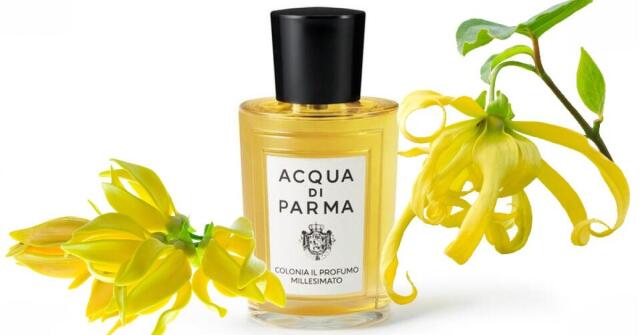 Colonia Il Profumo Acqua di Parma perfume - a new fragrance for