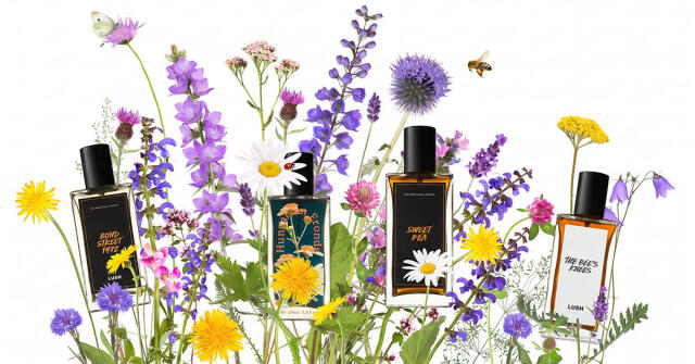 Sweet Pea Lush perfume - a new fragrance for women and men 2024