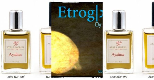 Imaginary Authors: Beach Reads