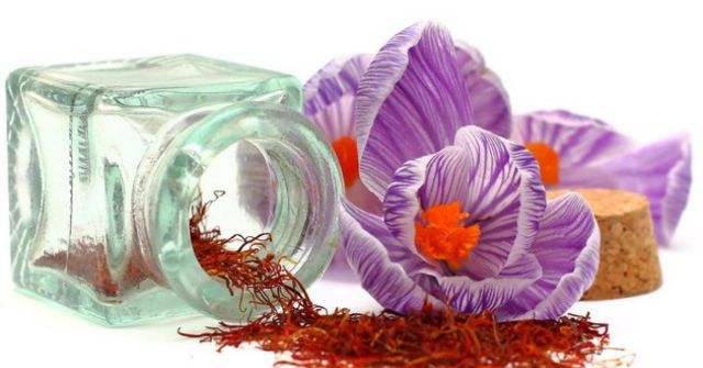 Kolekce Musk Tahara od Gulf Orchid