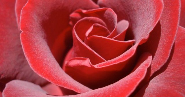 Kontroverzní téma: Matka Země