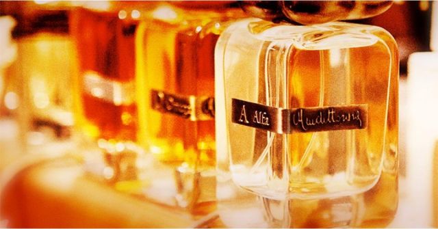 Moje oblíbené podzimní květiny, druhá část