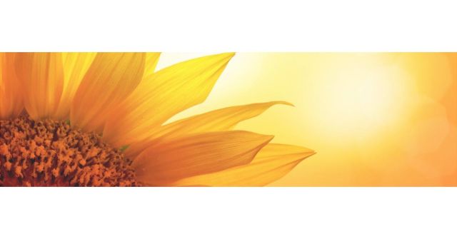 Jak pro mě voněl rok 2025