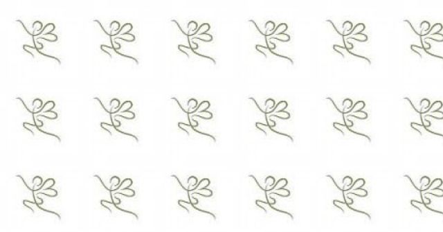 Dvě nové ovocné vůně od Skylar