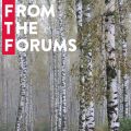 From the Forums: Perfume for Bed; Nordic Forests; Loves, Likes & Dislikes