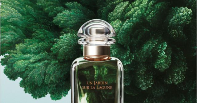 Un Jardin Apres la Mousson Hermès fragancia - una fragancia para
