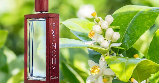 Le Frenchy Guerlain Colonia - una fragancia para Hombres 2017