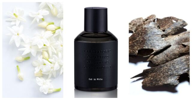 Oud in White Laboratorio Olfattivo fragancia - una nuevo fragancia