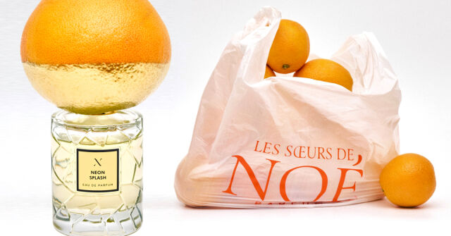 elfbar nachfüll pod läuft aus Arôme naturel liquide Fruit de la passion 40ml main image 1