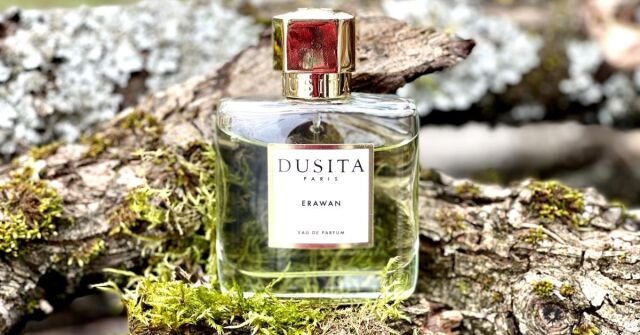 Egoiste Platinum Chanel Cologne - un parfum pour homme 1993