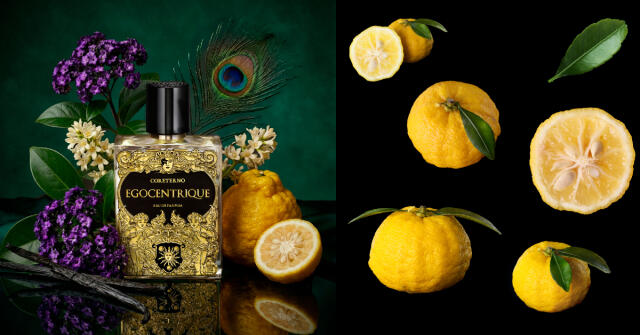 Coreternoが新作Egocentriqueを発表