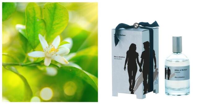 MYSLF Eau de Parfum Yves Saint Laurent コロン - 2023年の男性用