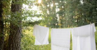 White Musk: アンソロジー