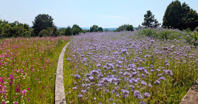 プラハの公園と庭園：植物園