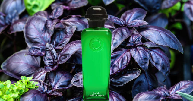 Eau de Basilic Pourpre Hermès parfum - een geur voor dames en